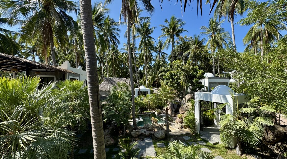 Garden view from first-floor terrace